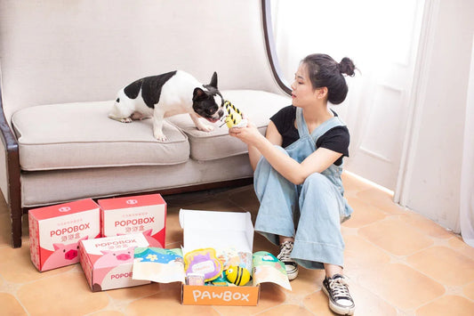 Woman and dog enjoying toys from a pet box.