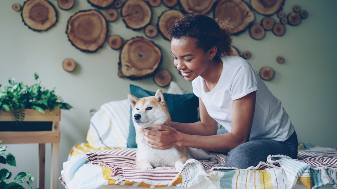 Woman pets a dog on a bed in a cozy room.