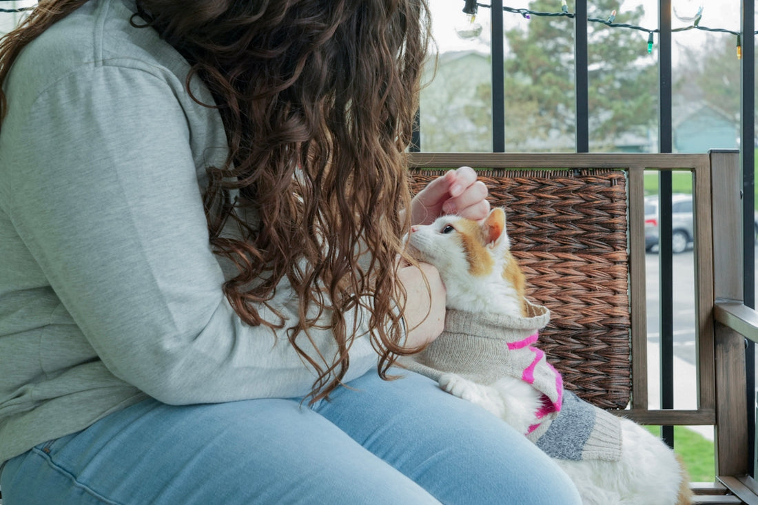 Woman petting a small dog on a porch.