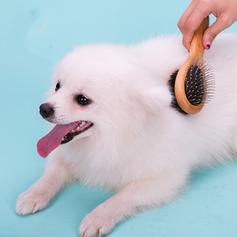 Hygiene and furcare