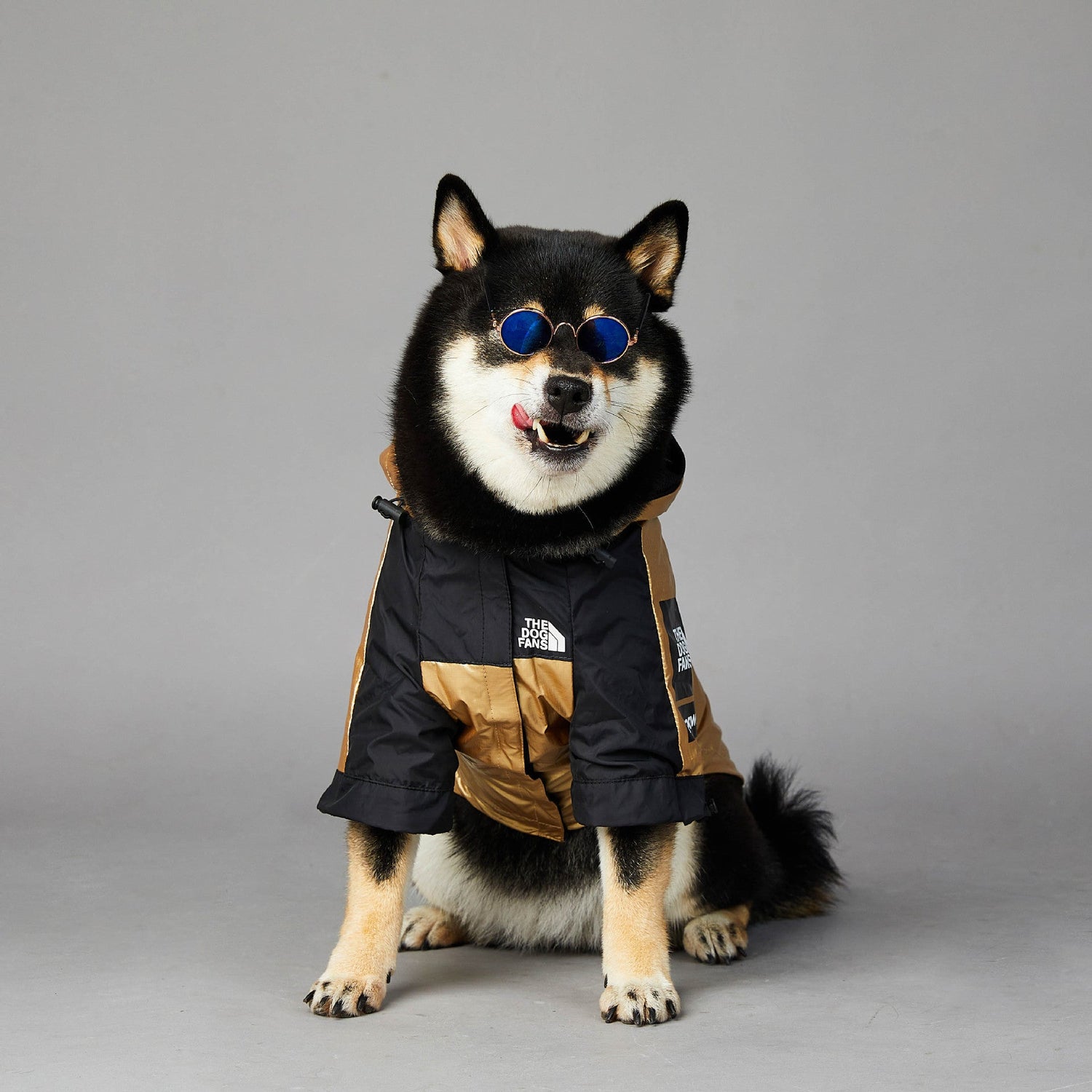 Dog clothes