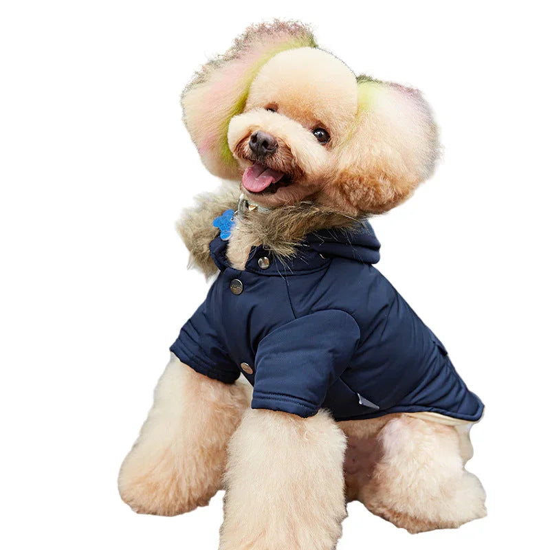 Warm pet clothing
