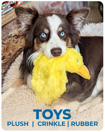 Soft Squeaky Duck Dog Toy