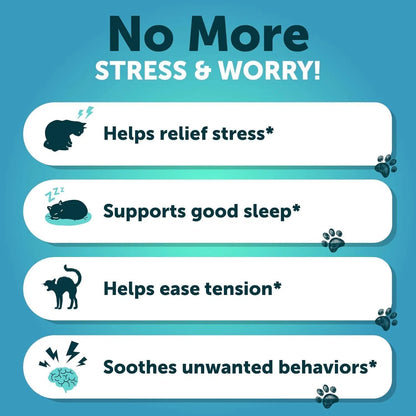 Calming Treats For Stress & Anxiety Relief