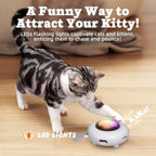 UFO cat toy