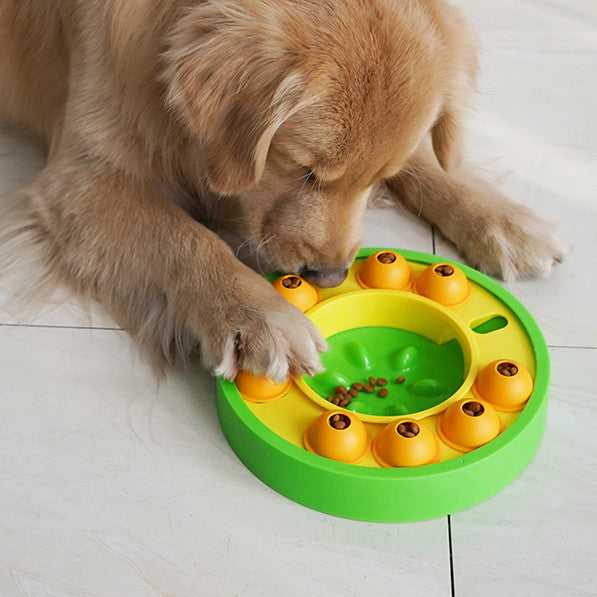 IQ Training Feeder Dog & Cat Toy