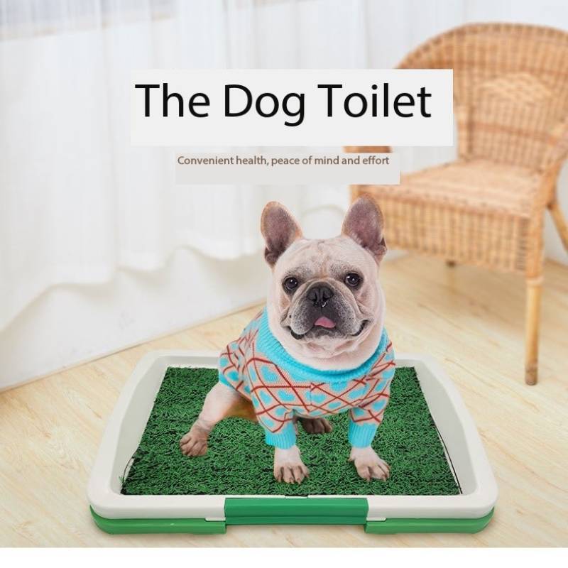 Indoor Dog Grass Potty Trainer - Three-Layer Toilet Solution