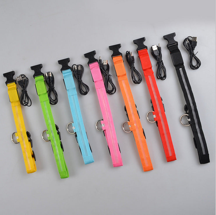 LED Night Safety Dog Collar