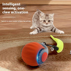 Fast Cat Toy Ball with Tail