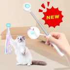2-in-1 Retractable Cat Wand Toy
