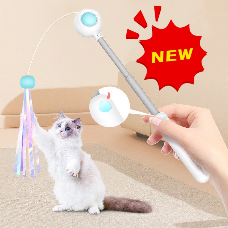 NEUES 2-in-1 ausziehbares Katzenangelspielzeug