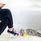 Cat Toy Stick with Strong Feathers