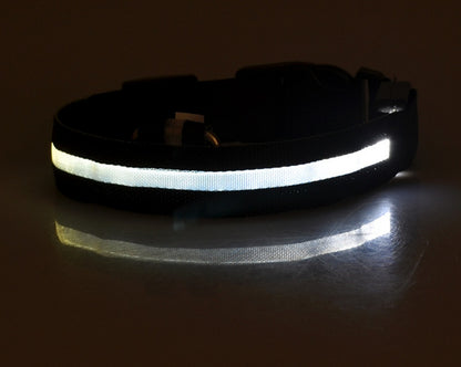 LED Night Safety Dog Collar