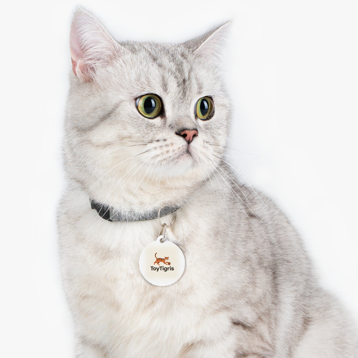Pet Tag - Toytigris Design