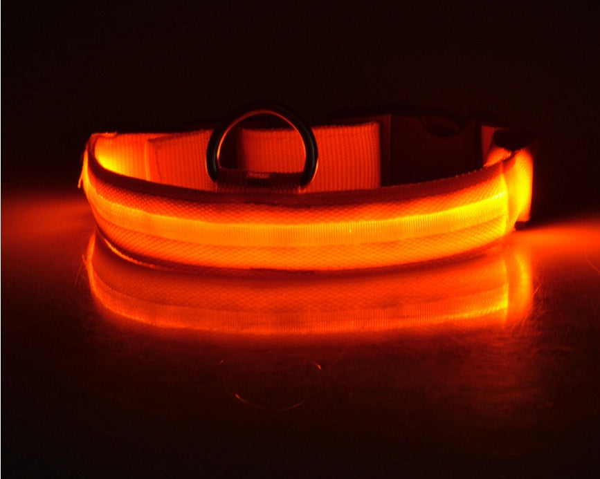 LED Night Safety Dog Collar