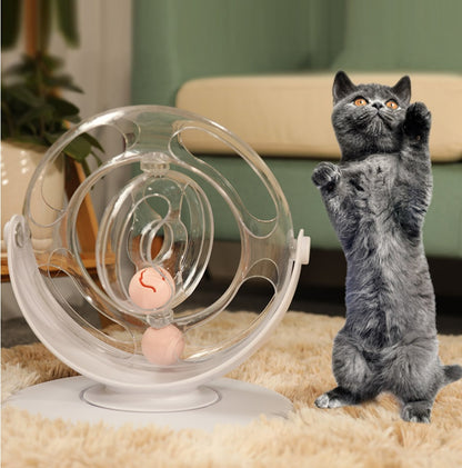 ToyTigris turntable educational cat toy