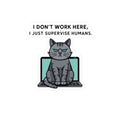 Cat Computer Meme Sticker