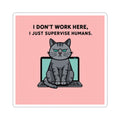 Cat Computer Meme Sticker - Pink
