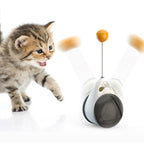 ToyTigris Balance Swinging Car Cat Toy