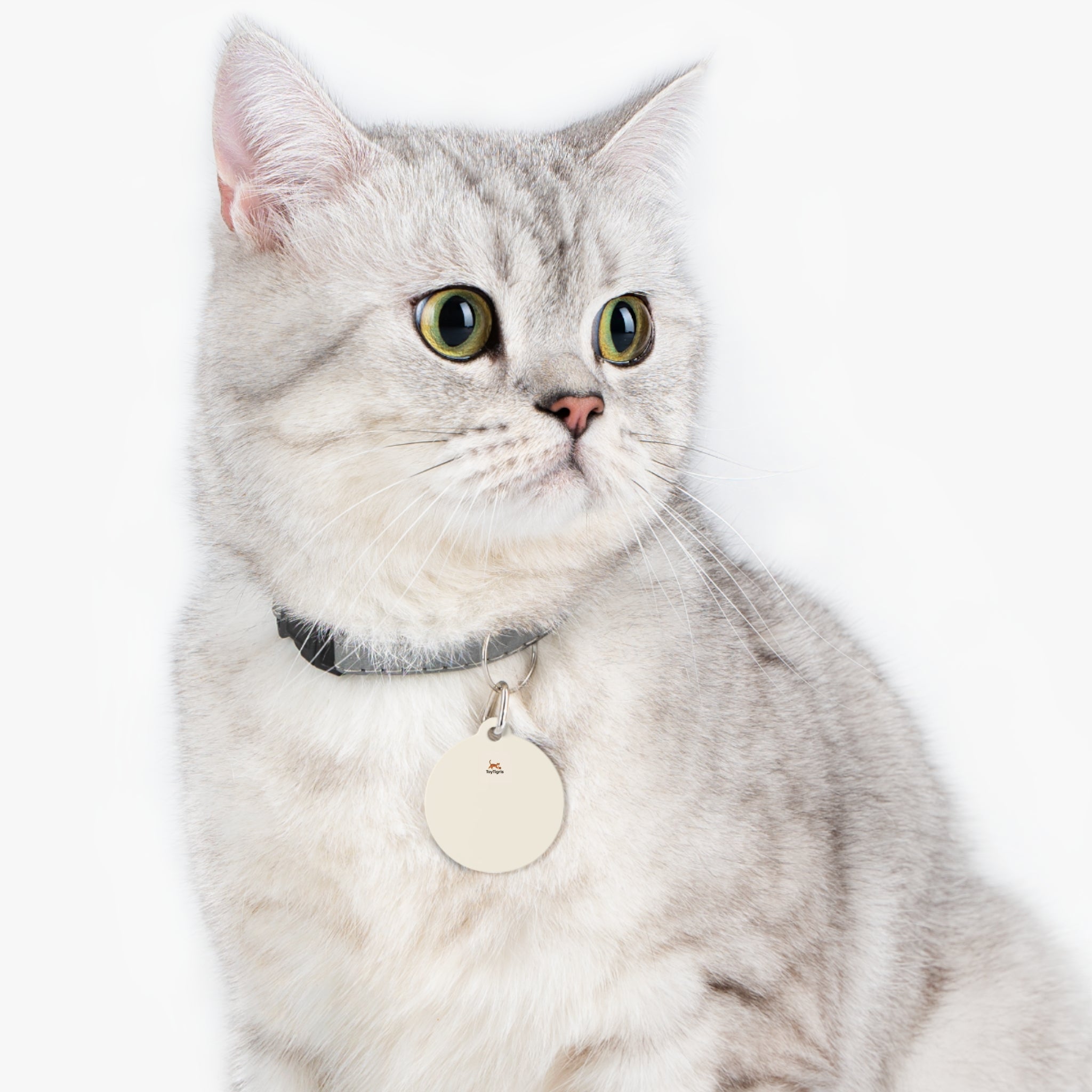 Pet Tag - Toytigris