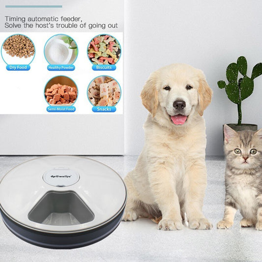 Automatic Six-Meal Pet Feeder Timer with Music Reminder for Cats & Dogs