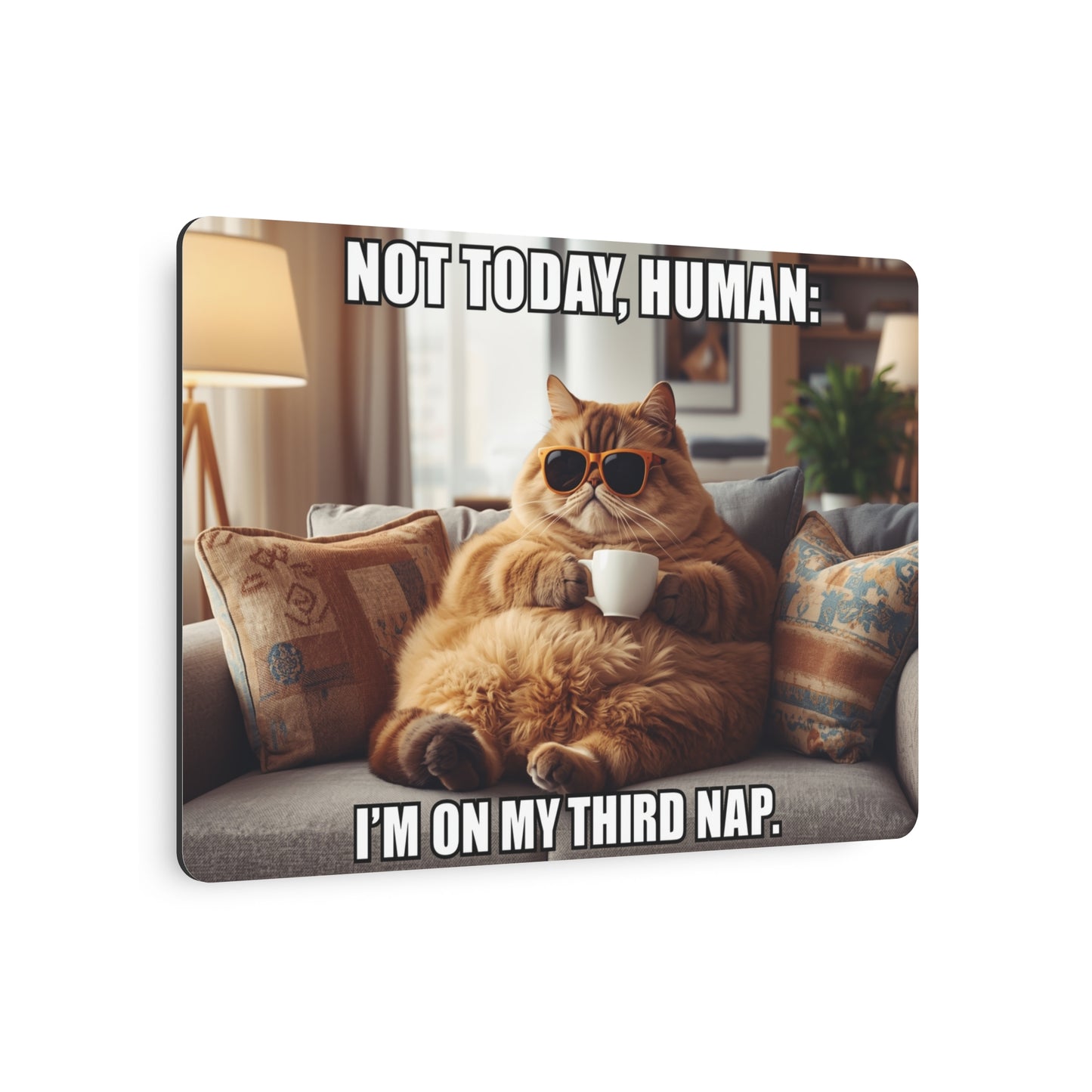 Metal Art Sign - Funny Cat Wall Art