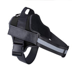 Personalized No-Pull Dog Harness – Reflective, Breathable & Adjustable