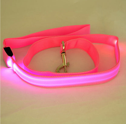 Toytigris LED Dog Leash