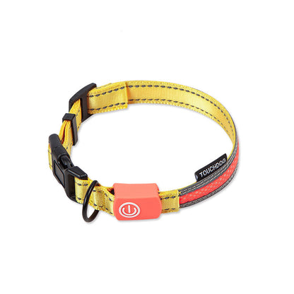 TouchDog LED pet leash set
