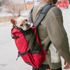 Portable Outdoor Dog Travel Backpack