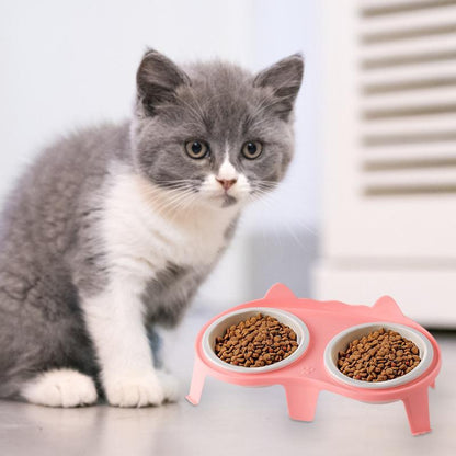 Elevated Tilted Cat Food & Water Bowl Ceramic Pet Feeding Set