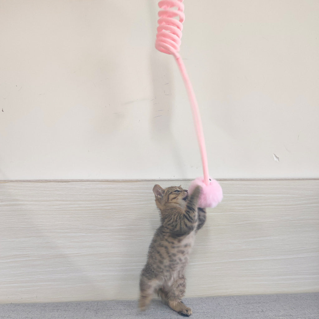 ToyTigris Interactive Spring Cat Toy