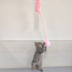 ToyTigris Interactive Spring Cat Toy