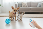 ToyTigris Smart Remote Control Ball Toy with LED Lights for Cats & Dogs
