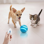 ToyTigris Smart Remote Control Ball Toy with LED Lights for Cats & Dogs