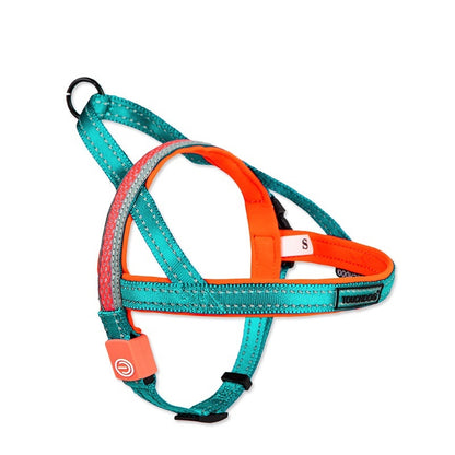 TouchDog LED pet leash set