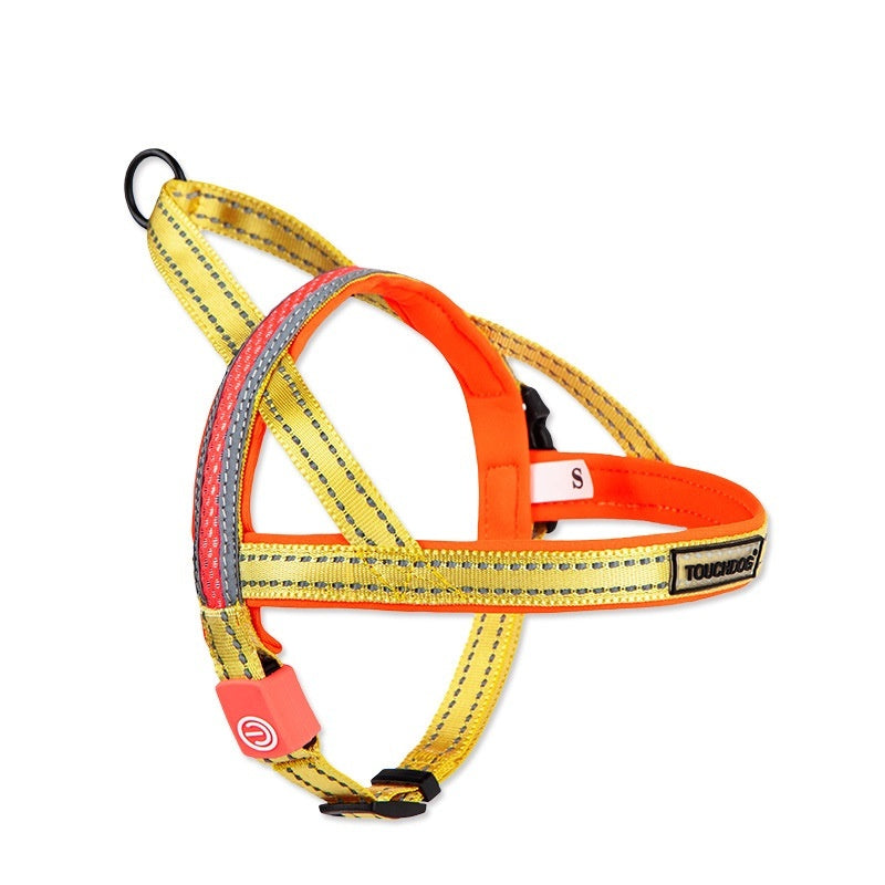TouchDog LED pet leash set