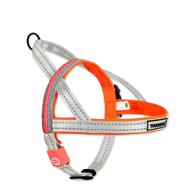 TouchDog LED pet leash set