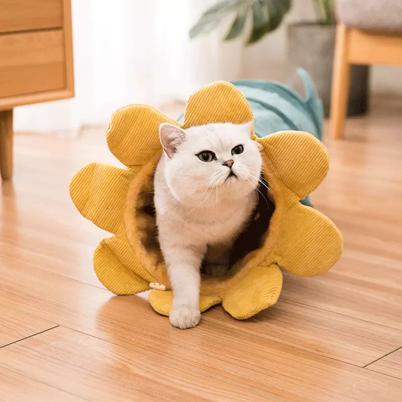 ToyTigris Creative Cat Tunnel Toy