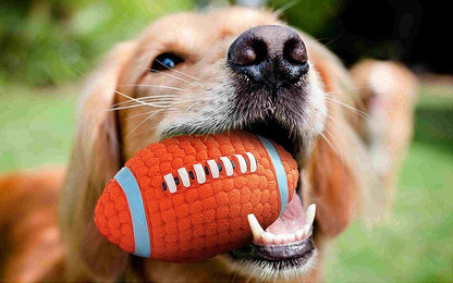Bite-Resistant Teeth Cleaning Latex Dog Toy Ball