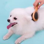 Wooden Double-sided Pet Comb