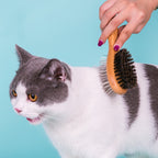 Wooden Double-sided Pet Comb