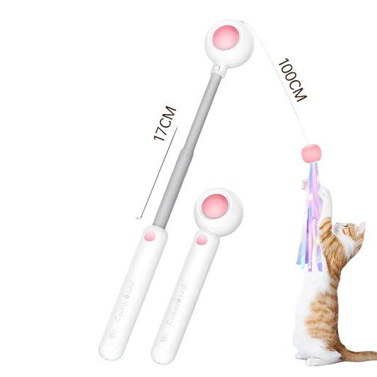 NEW 2-in-1 Retractable Cat Wand Toy