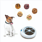 Automatic Timed Six-Meal Pet Feeder