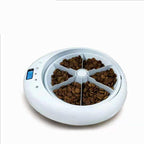 Automatic Timed Six-Meal Pet Feeder