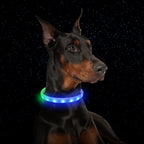 USB Rechargeable LED Dog Collar – Adjustable Silicone Anti-Lost Flash Necklace