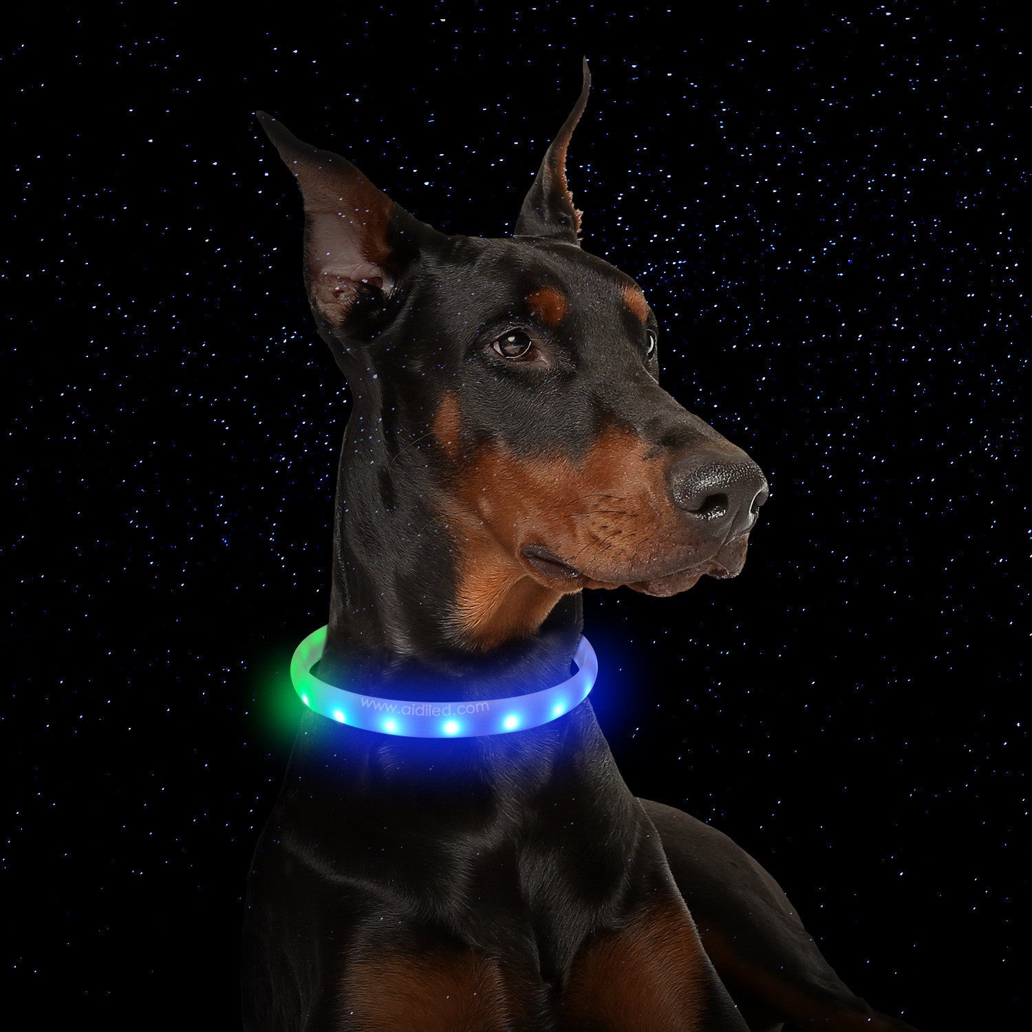 USB wiederaufladbares LED-Hundehalsband – verstellbares Silikon-Anti-Verlust-Blitzhalsband