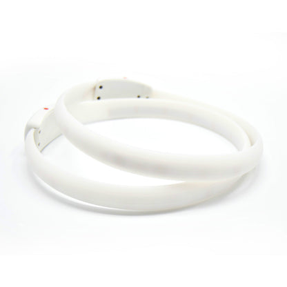 USB Rechargeable LED Dog Collar – Adjustable Silicone Anti-Lost Flash Necklace