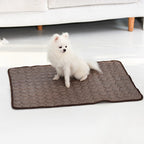 Pet Summer Cooling Ice Silk Mat