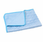 Pet Summer Cooling Ice Silk Mat